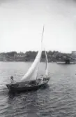 Centerbordseka byggd av Sven och Olle Lundgren, LÖA (längd över allt) 5,30 m ute på en seglats. Båthus och andra byggnader i bakgrunden på land, 1940.