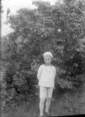 Pojke i flottans sjömanskostym i trädgård, 1920-tal