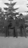 Tre herrar framför en gran i Örebro, 1920-tal