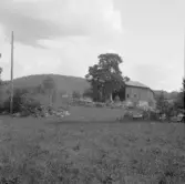 Falun, Hälla, Järlinden. Stora kopparbergs sn. Lada och stortall, norr om Kopparbergs kyrkogård, Järlindsberget i bakgrunden.