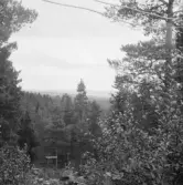 Falun, Hälla, Järlinden.