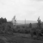 Falun, Hälla, Järlinden.