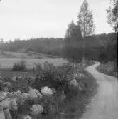 Falun, Hälla, Järlinden. Vägen från Järlinda till Lilla Hälla.