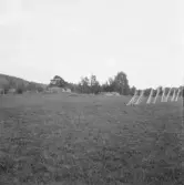 Falun, Hälla, Järlinden. Ruin och stortall norr om Kopparbergs kyrkogård.