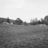 Falun, Hälla, Järlinden. Ruin och stortall norr om Kopparbergs kyrkogård.