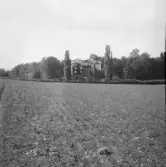 Falun, kring Hosjö. Rottneby med pyramidpopplar.