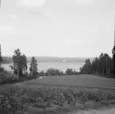 Falun, från Hellmansö mot Hälsingstrand och Hälsingården.