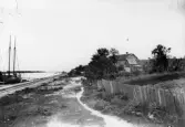Parti av yttre hamnen. T.v. Södra sidan av inloppet med ångsågens virkeslastningsupplag och Lastans sjömärke. En ångbåt på ingående.  Hamnspåret anlagt till propsgårdarna på västra sidan. Tvåvåningsbyggnaden (sedermera det såkallade kvarnkontoret) var byggt av brädgårdsinspektören Bernhard Boman.  Den närmare liggande gården ägdes av målar-  mästare Carl Abraham Carlstedt (redaktör C.A.G. Carlstedts hem). (A.S).  En kopia i kuvert 00049 C 4.