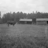 Falun, Rog, Uvnäs, Hultåsa.