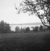 Falun, Rog, Uvnäs, Hultåsa.