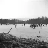 Vänersborg. Holmängen 