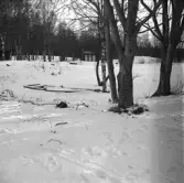 Vänersborg. Holmängen