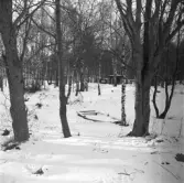 Vänersborg. Holmängen