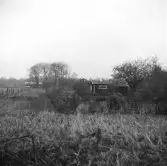 Vänersborg. Holmängen