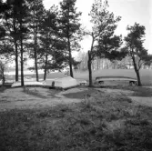 Vänersborg, Holmängen