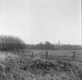 Vänersborg, Holmängen