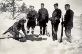 Fortsättningskriget i Finland 1941-44.
Visitering av stupad.  2:a fr.h.: finlandsfrivillige furir Erik Nilsson (fr. Växjö) som stupade 11/5 1944.
