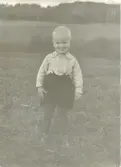 Lille Ingemar Johansson (född 195?) står på gräsmattan, Labacka Lund cirka 1960. Son till Bengt och Stina Johansson.