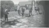 Alegårdsslätt i Fässberg, 1940-tal. På den stenlagda gårdsplanen, till vänster, ses en liten gosse som står vid en ko. I bakgrunden står bröderna Birger och Ivar Johansson med var sin ko.