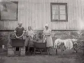 Klädvård. Tvättning av kläder utomhus på Hallagård. Kvinnorna som tvättar är fr v Ebba Larsson, Alice Andersson och Ester Stener. Se E7144, foto från samma tillfälle.