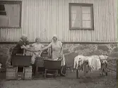 Klädvård. Tvättning av kläder utomhus på Hallagård. Kvinnorna som tvättar är fr v Ebba Larsson, Alice Andersson och Ebba Stener. Se E7136, foto från samma tillfälle.