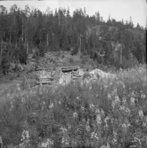 Falun, Sundborn, Näst. Kolkoja vid Näst fäbodar vid foten av Råberget.