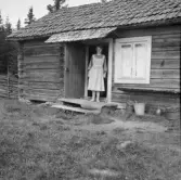 Falun, Sundborn, Näst. Stuga och fäbokulla vid Näst fäbon. Ellida Danielsson från Persarvet.