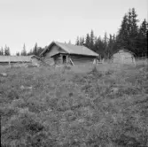 Falun, Sundborn, Näst. Två föjs och bod vid Näst fäboden.