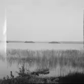 Falun, Lövänget, Ramsnäs, Sundborn. Toftan från Lövänges skolhus.