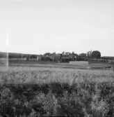 Falun, Risholn, Sundborn. Björsarvet från Stensarvet.