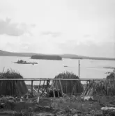 Falun, Lumsviken, Bäckänge, Sundborn. Milor vid Toftans sågverk, Bäckänge.