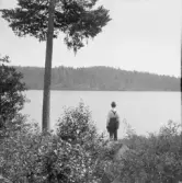 Falun, Sundborn, Djuptjärn, Bäckänge.