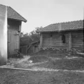 Falun, Blixbo, Folkesbacka, Sundborn. Nordins källarbod Skäggheden.