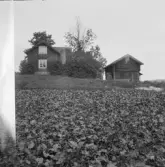 Falun, Blixbo, Folkesbacka, Sundborn.