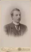 Mansporträtt, otydligt skrift på baksidan, namn? Fotograf Gösta Florman, Stockholm, 1895.