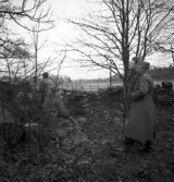 Hemvärnet. 20/4, 1941.
Några män i hemvärnsuniformer avvaktar bakom en stengärdesgård.