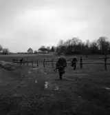 Hemvärnet. 20/4, 1941.
Några män i hemvärnsuniform skyndar iväg över en äng. I bakgrunden
syns baksidan på dåv. arrendatorsbostaden på Teleborgs slott, även
kallad Tuvan, Tufvan.