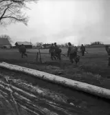 Hemvärnet. 20/4, 1941.
Några män i hemvärnsuniform skyndar iväg över en äng. I bakgrunden
syns en stenladugård m.m.