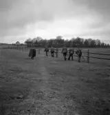 Hemvärnet. 20/4, 1941.
Några män i hemvärnsuniform skyndar iväg över en äng. I bakgrunden
syns baksidan på arrendatorsbostaden till Teleborgs slott, även kallad 
Tuvan, Tufvan.