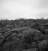 Hemvärnet. 20/4, 1941.
Några tonårspojkar i hemvärnsuniform ligger på pass bakom en stenhög.
I bakgrunden skymtar sjön Trummen (?).