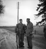 Hemvärnet. 20/4, 1941.
Två män i hemvärnsuniformer diskuterar något på landsvägen vid
granallén till Teleborgs slott.
I bakgrunden skymtar bl a sjön Trummen.