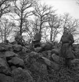 Hemvärnet. 20/4, 1941.
Några män i hermvärnsuniform på pass i ett stenröse. En man som verkar
vara officer, står och röker till höger.