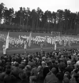 Gymnastikuppvisningen, 25/5 1941. 
Flera gymnastiktrupper med fanbärare, har ställt upp sig på 
Värendsvallen.