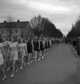 Gymnastikuppvisningen, 25/5 1941. 
En kvinnlig gymnastiktrupp på väg längs Storgatan, västerut. Till vänster 
syns en av flyglarna till dåv. Växjö Stads Försörjningsinrättning, senare en 
del av Folkskoleseminariet (Västerled).
