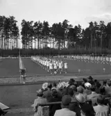 Gymnastikuppvisningen, 25/5 1941. 
Uppställning och parad med fanborg på Värendsvallen. 
Fotot taget från publikläktaren.