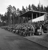 Gymnastikuppvisningen, 25/5 1941. 
Publikbild från Värendsvallen. På läktaren anar man biskop Yngve Brilioth som talar.