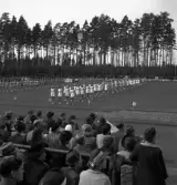 Gymnastikuppvisningen, 25/5 1941. 
Flera gymnastiktrupper står uppställda för uppvisning på planen till
Värendsvallen.