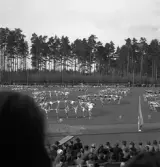 Gymnastikuppvisningen, 25/5 1941. 
Flera gymnastiktrupper har uppvisning på Värendsvallen.
Fotot taget från publikläktaren.