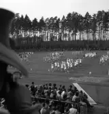 Gymnastikuppvisningen, 25/5 1941. 
Flera gymnastiktrupper har uppvisning på Värendsvallen.
Fotot taget från publikläktaren.