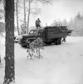 Östra torp anländer